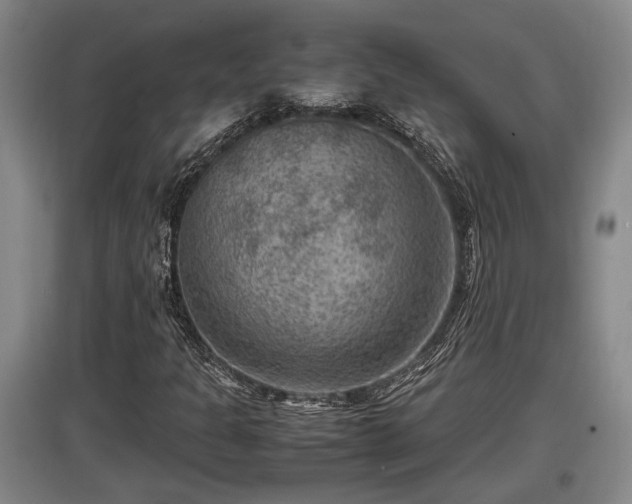 X0000097461301200802291227