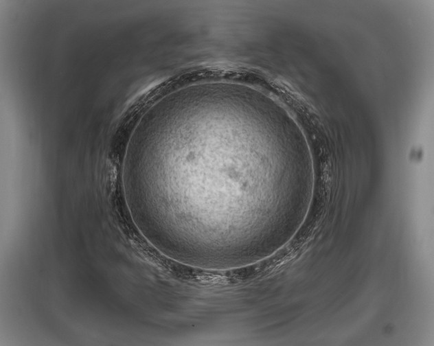 X0000097461302200802291227