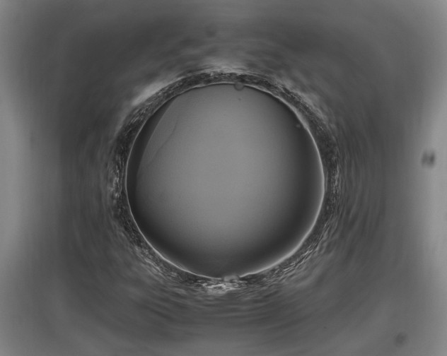 X0000097461303200802291227