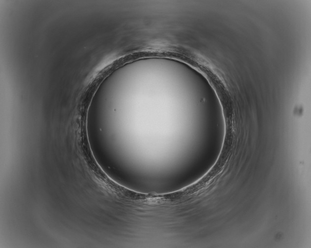 X0000097461304200802291227