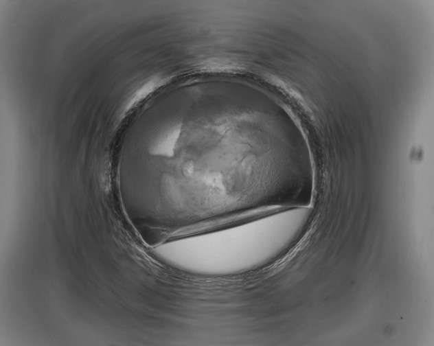 X0000097461306200802291227