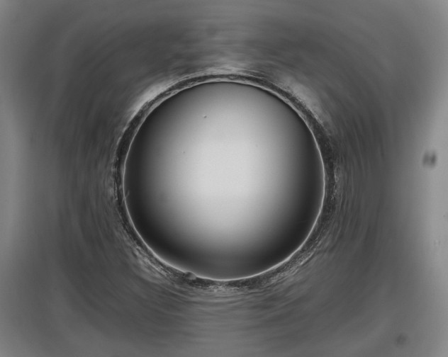 X0000097461308200802291227