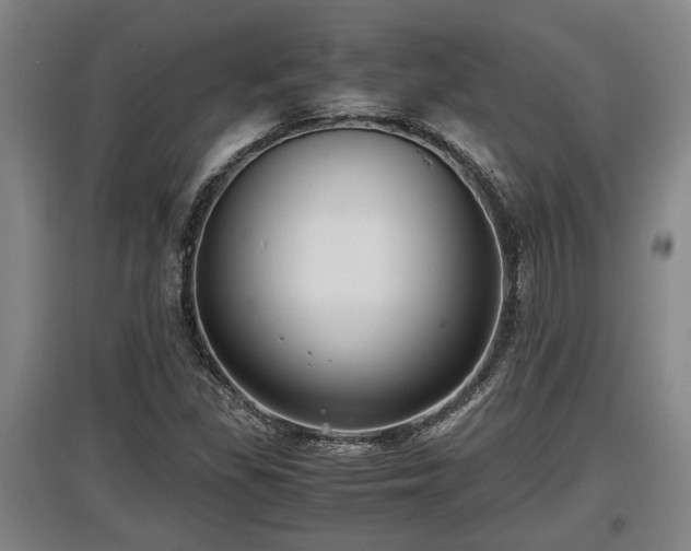 X0000097461309200802291227