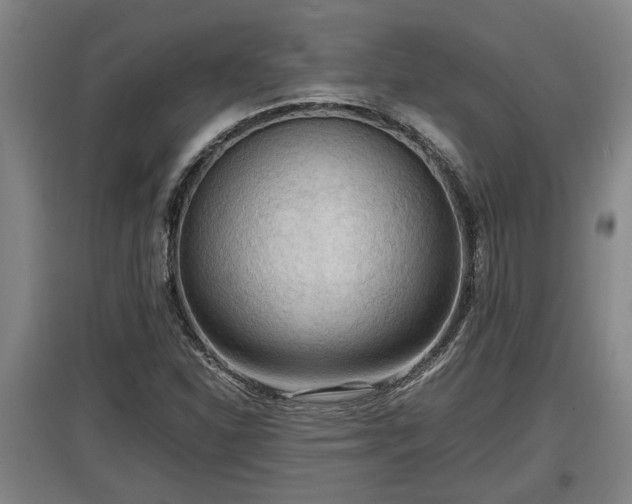 X0000097461310200802291227