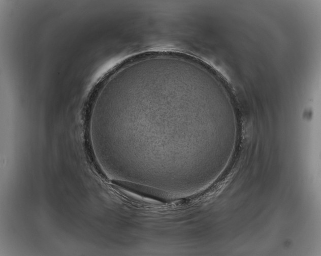 X0000097461311200802291227