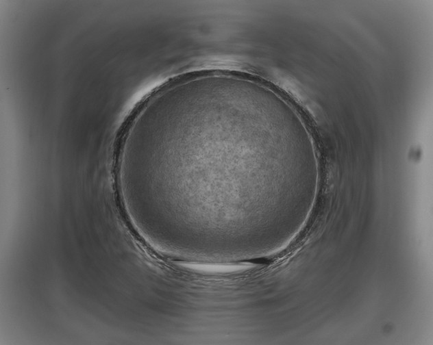 X0000097461312200802291227