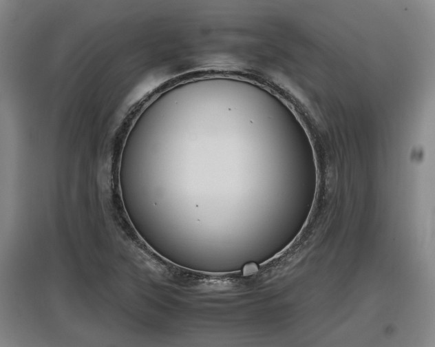 X0000097461315200802291227