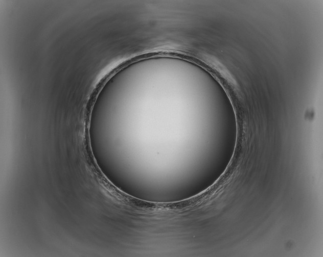 X0000097461316200802291227