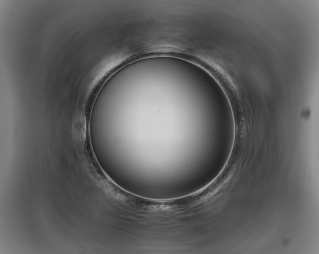 X0000097461317200802291227