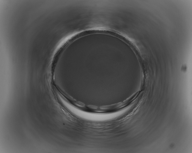 X0000097461319200802291227