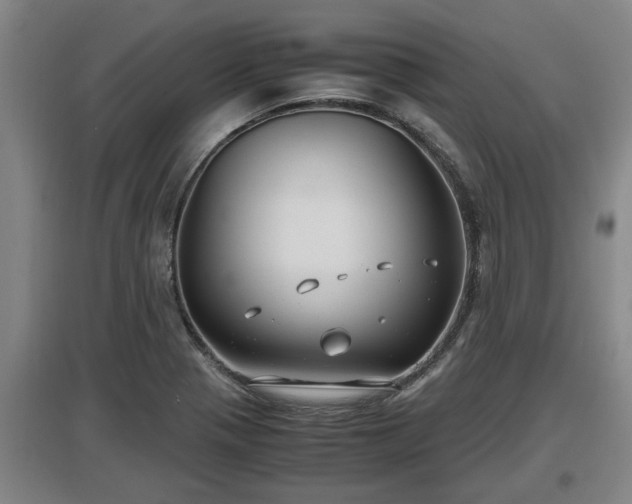 X0000097461321200802291227