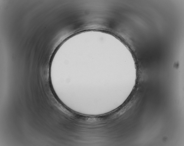 X0000097461322200802291227