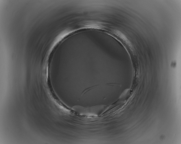 X0000097461323200802291227