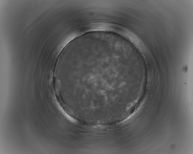 X0000097461329200802291227