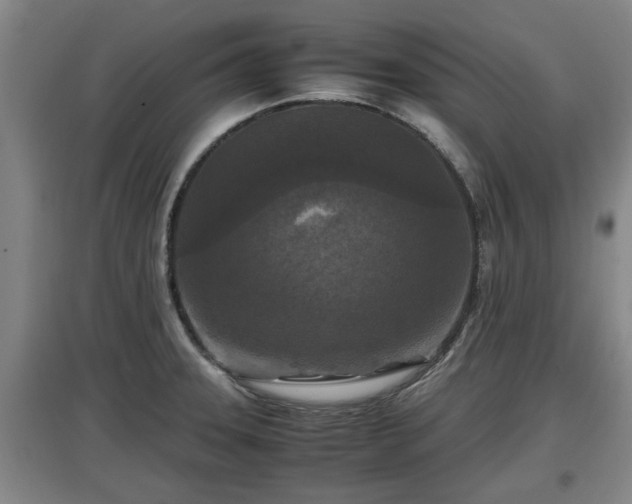 X0000097461331200802291227