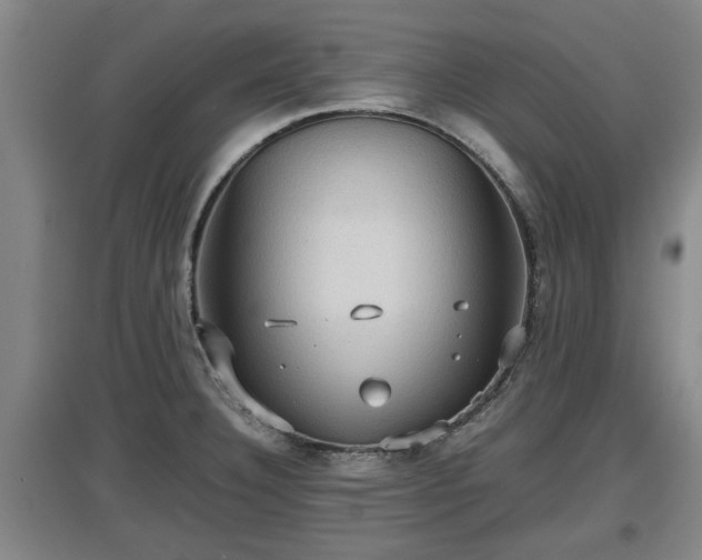 X0000097461332200802291227