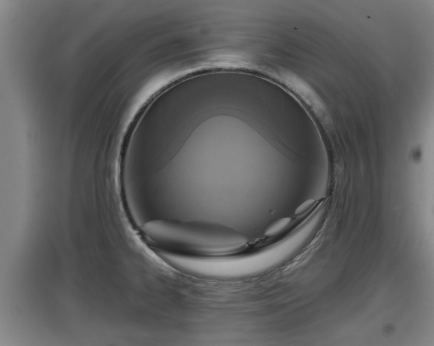 X0000097461334200802291227