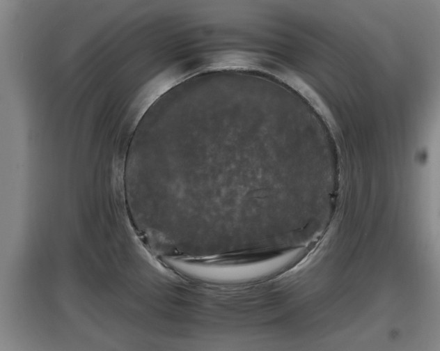 X0000097461337200802291227