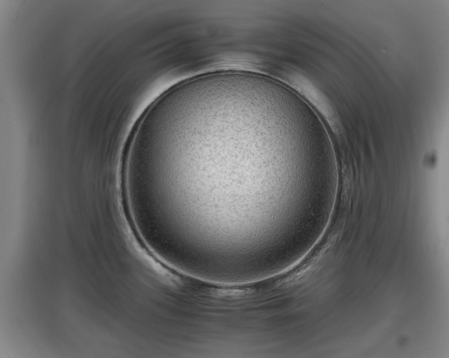 X0000097461339200802291227