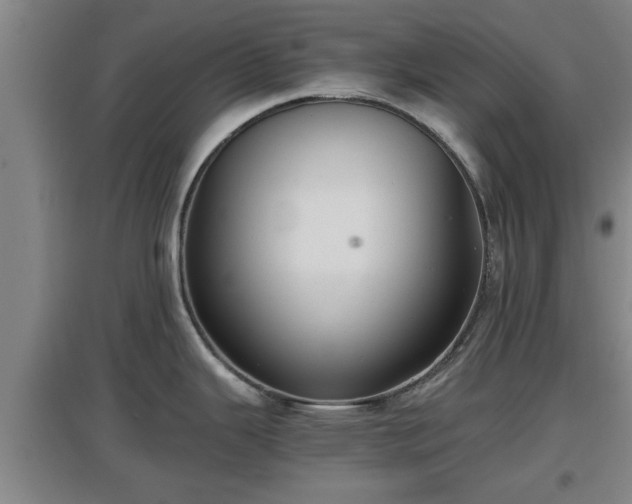 X0000097461343200802291227