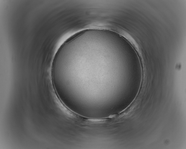 X0000097461344200802291227