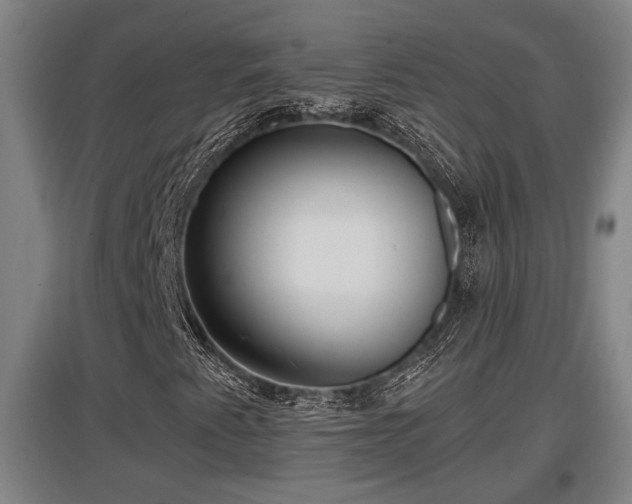 X0000097461345200802291226