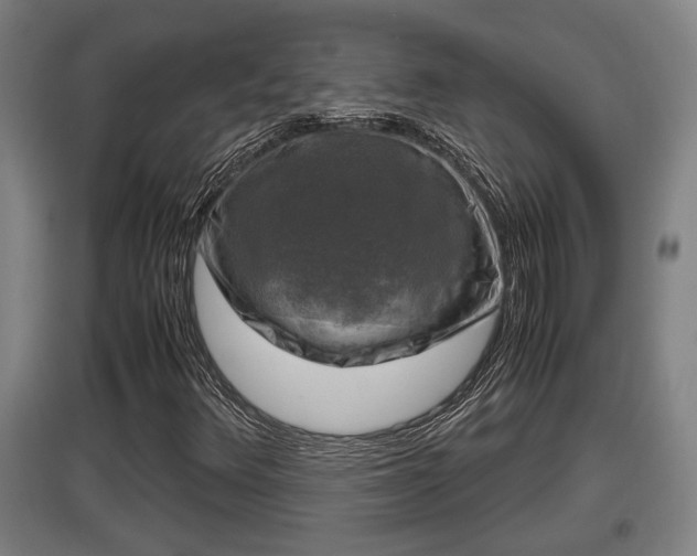 X0000097461348200802291226