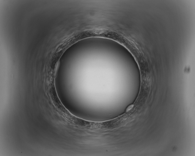 X0000097461349200802291226