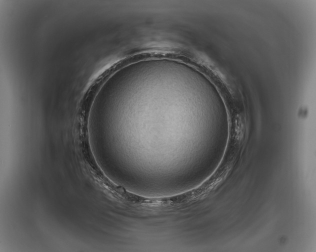 X0000097461352200802291226