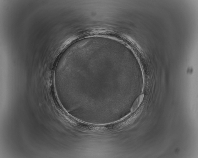 X0000097461353200802291226