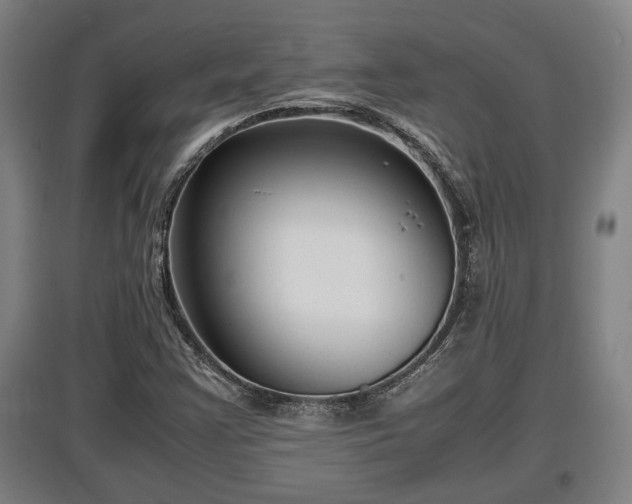 X0000097461355200802291226