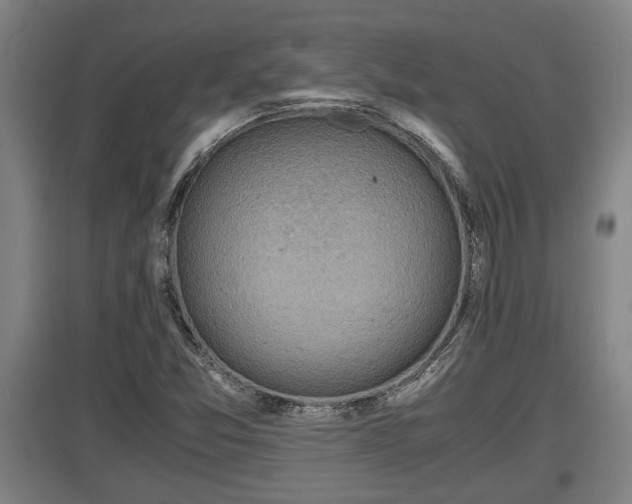 X0000097461357200802291226