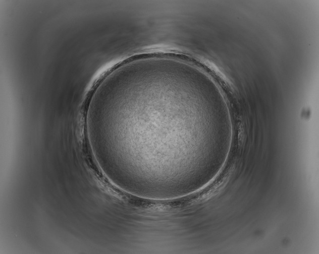 X0000097461358200802291226