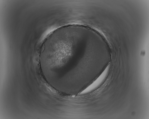 X0000097461359200802291226