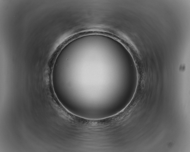 X0000097461360200802291226