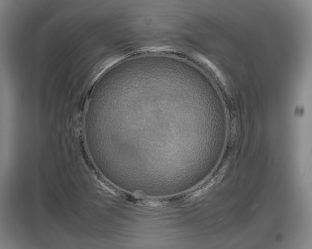 X0000097461361200802291226