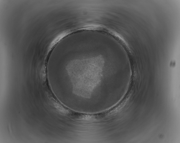 X0000097461362200802291226