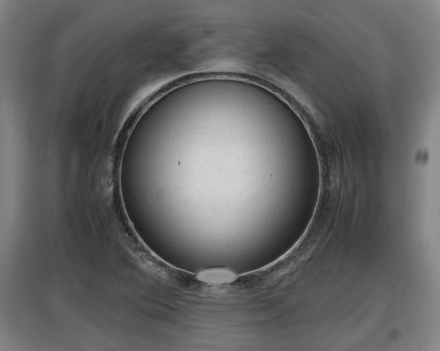 X0000097461364200802291226