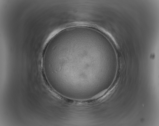 X0000097461365200802291226