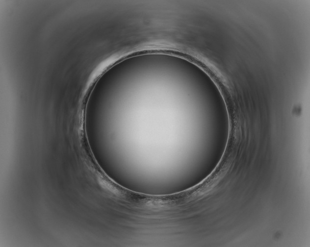 X0000097461366200802291226