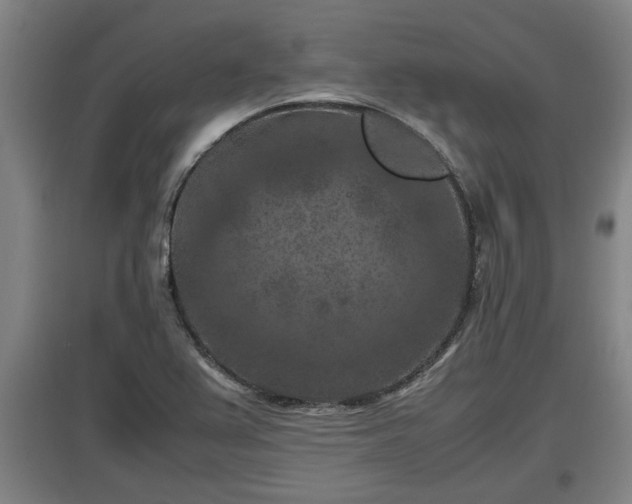 X0000097461367200802291226