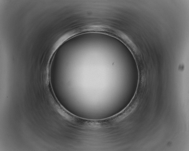 X0000097461370200802291226