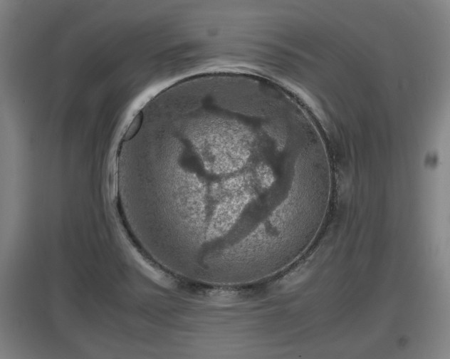 X0000097461371200802291226