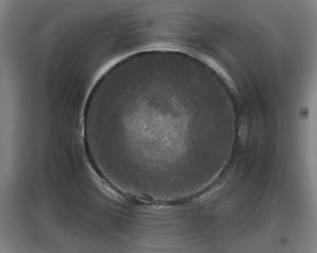 X0000097461372200802291226