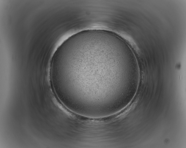 X0000097461374200802291226