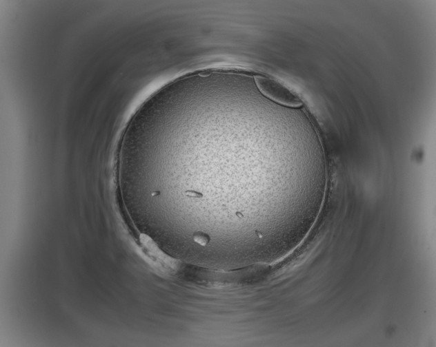 X0000097461375200802291226