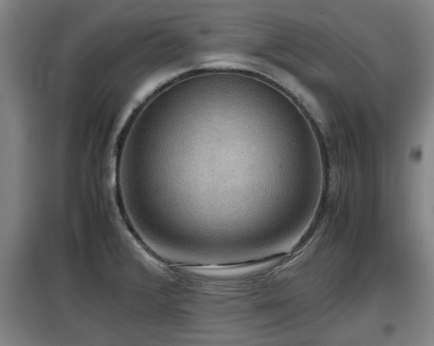 X0000097461376200802291226