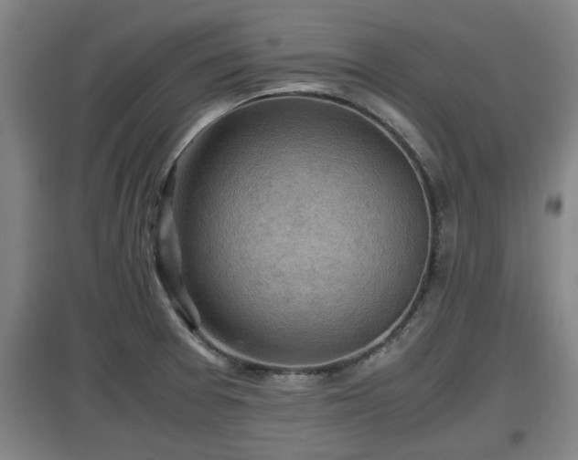 X0000097461377200802291226