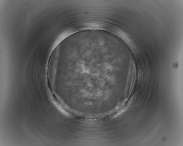 X0000097461378200802291226