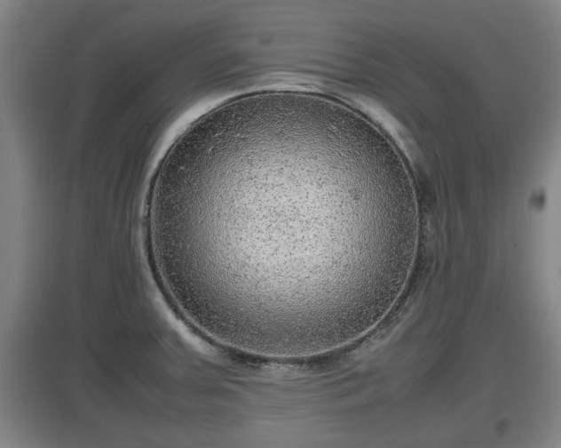 X0000097461379200802291226